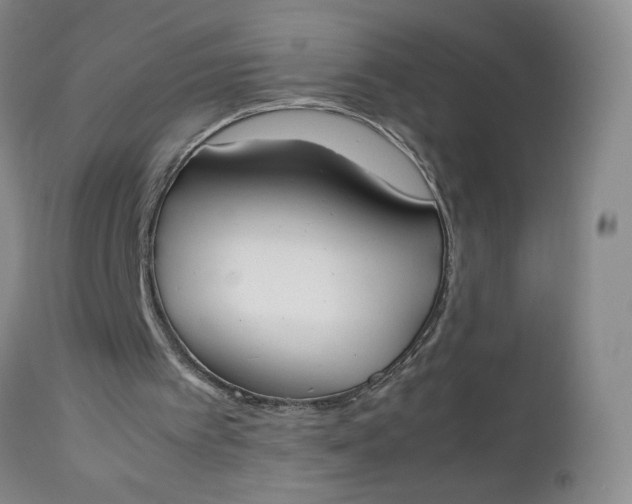 X0000112850097200909041539