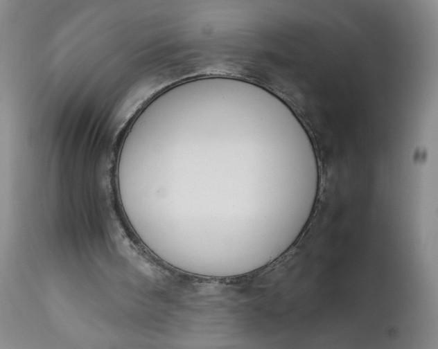 X0000112850098200909041539