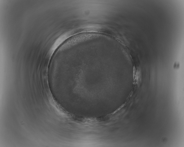 X0000112850099200909041539