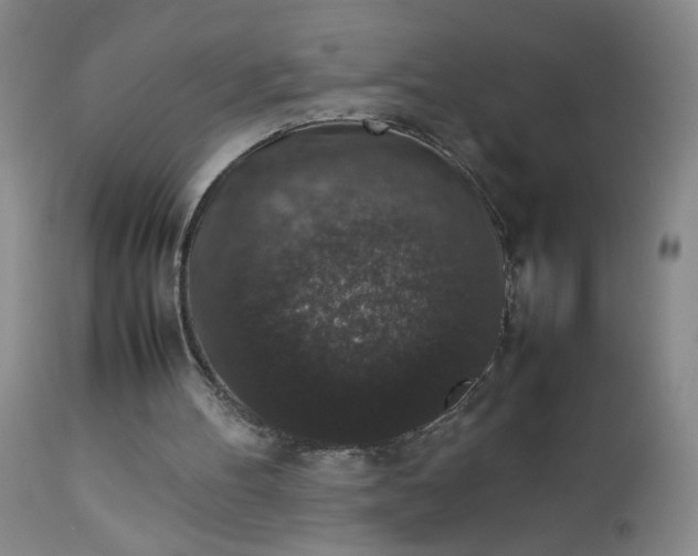 X0000112850100200909041539