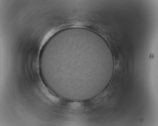 X0000112850102200909041539