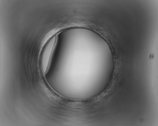 X0000112850104200909041539