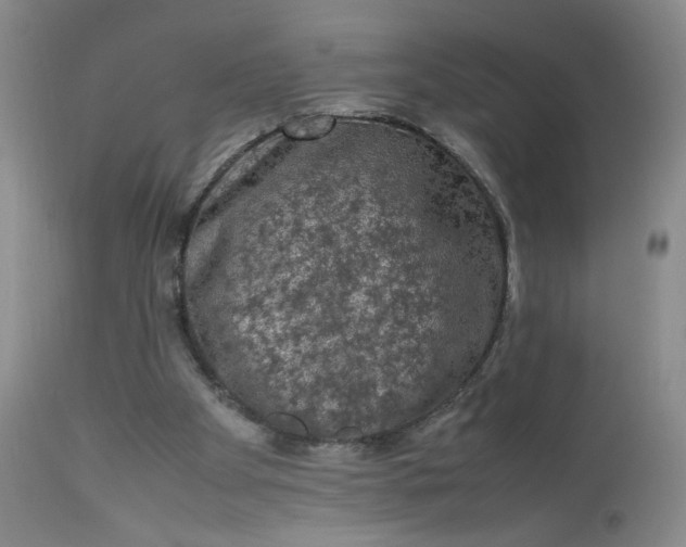 X0000112850105200909041539