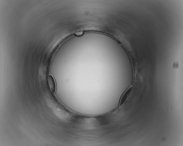 X0000112850108200909041539