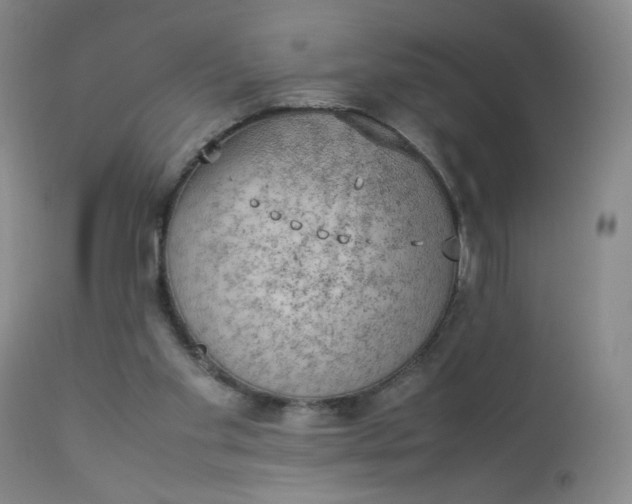 X0000112850109200909041539