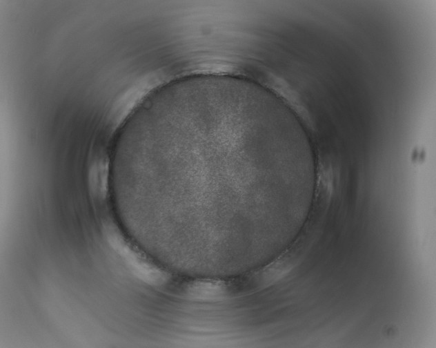 X0000112850110200909041539