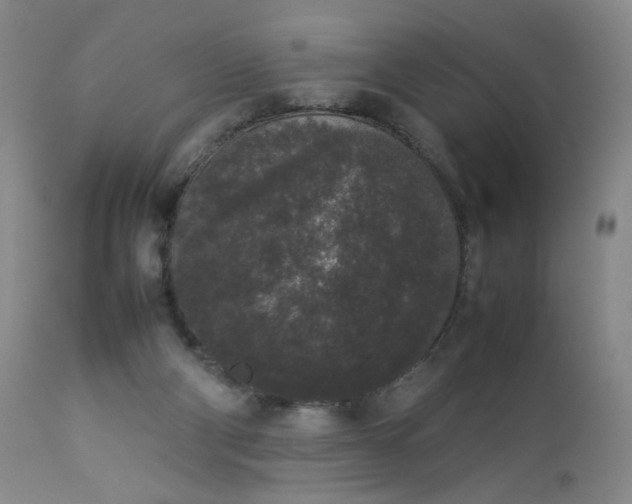 X0000112850114200909041538