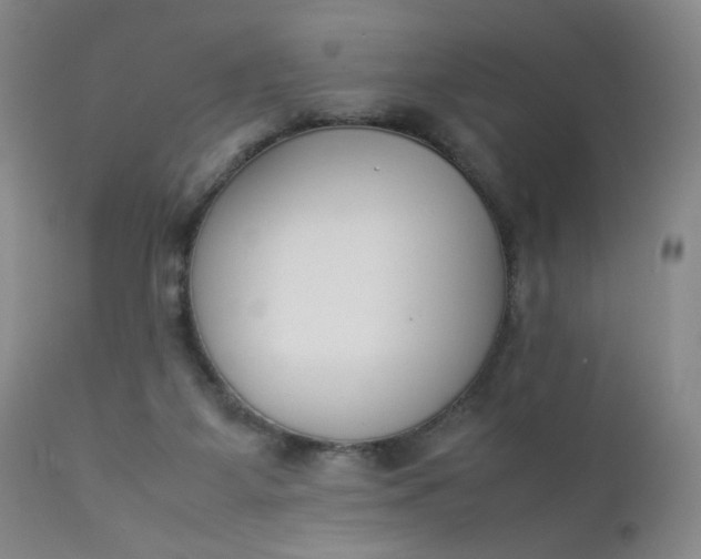 X0000112850115200909041538