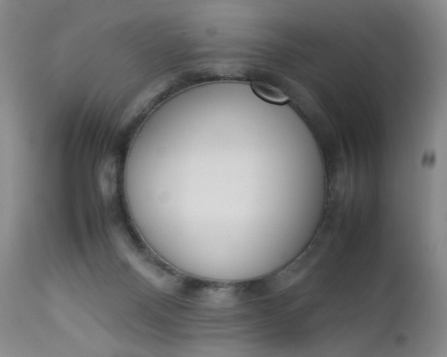 X0000112850120200909041538