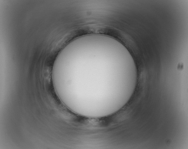 X0000112850121200909041538