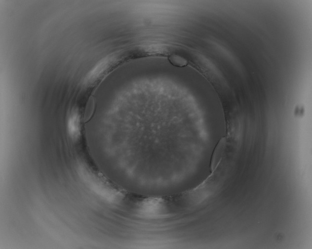 X0000112850124200909041538