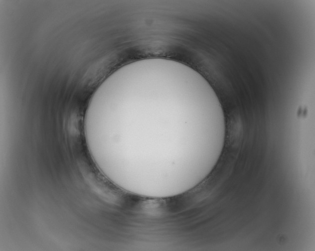 X0000112850126200909041538