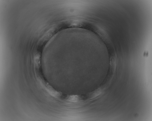 X0000112850127200909041538