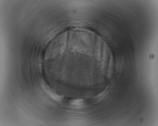 X0000112850132200909041538