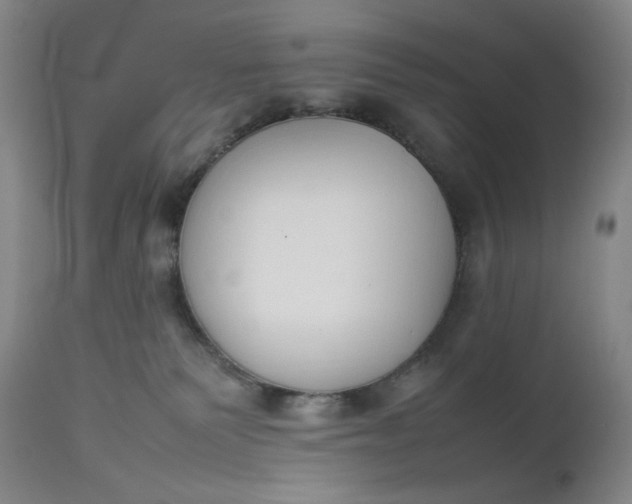 X0000112850135200909041538