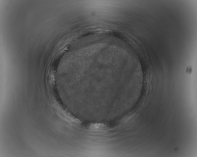 X0000112850137200909041538