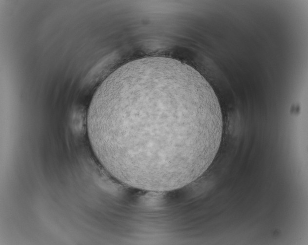 X0000112850138200909041538