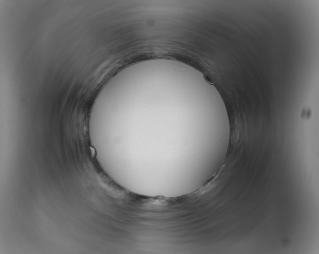 X0000112850140200909041538