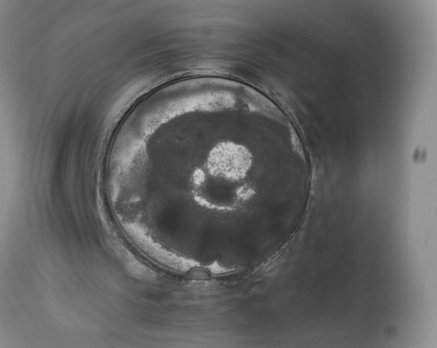 X0000112850145200909041537