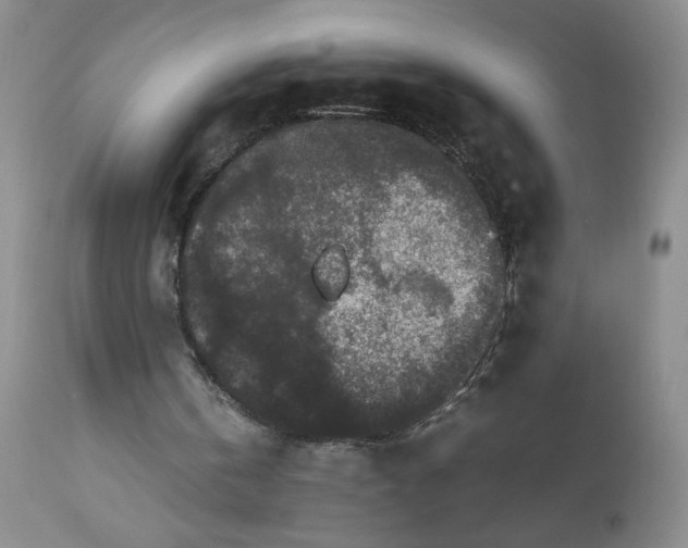 X0000112850146200909041537