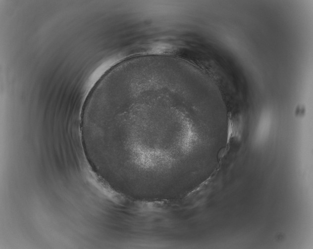 X0000112850147200909041537