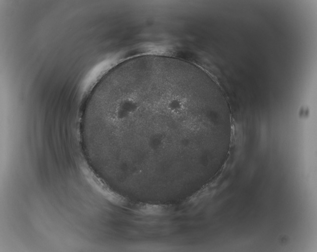 X0000112850149200909041537