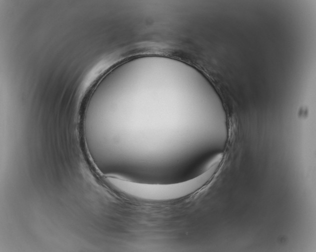 X0000112850150200909041537