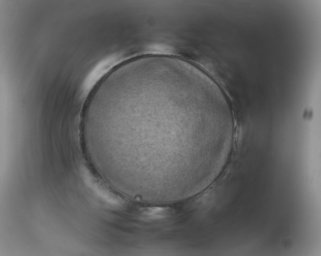 X0000112850151200909041537