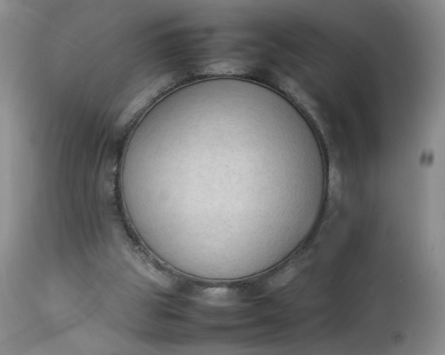 X0000112850153200909041537