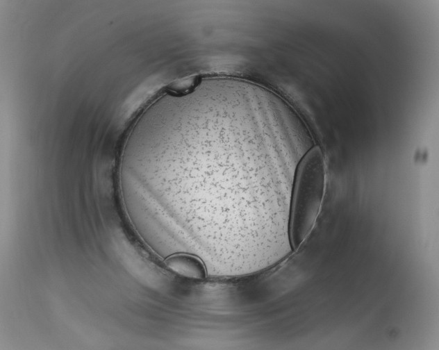 X0000112850154200909041538