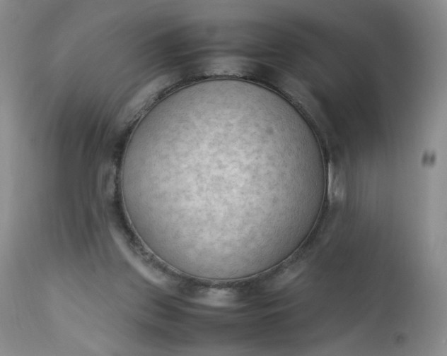 X0000112850157200909041538