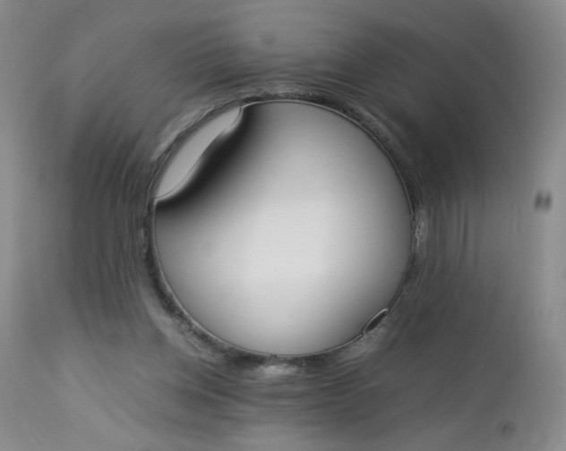 X0000112850158200909041538