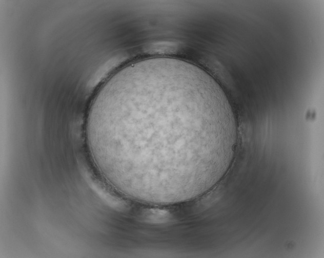 X0000112850159200909041538