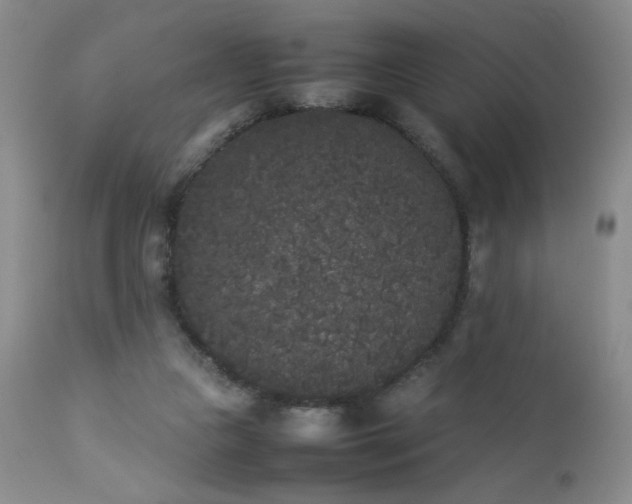 X0000112850161200909041538