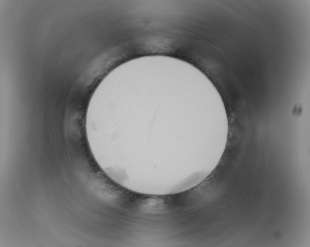 X0000112850162200909041538