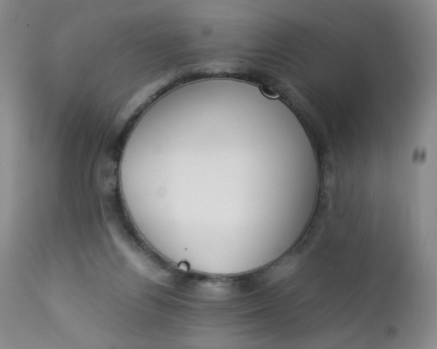 X0000112850164200909041538