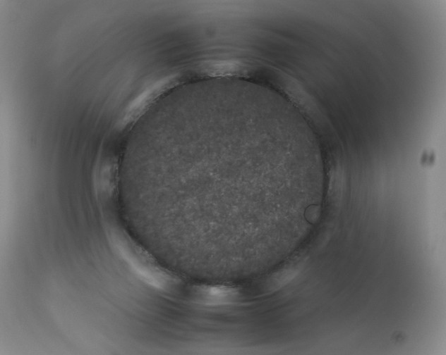 X0000112850165200909041538