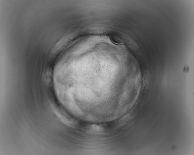 X0000112850166200909041538