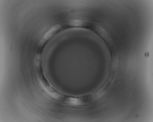 X0000112850167200909041538