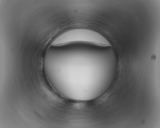 X0000112850168200909041538