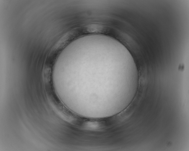 X0000112850171200909041538