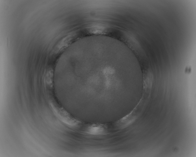 X0000112850175200909041538