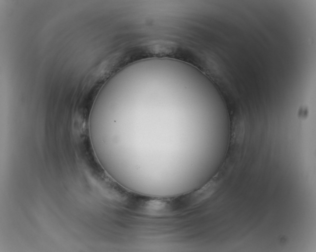 X0000112850176200909041538