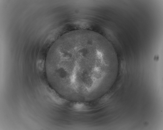 X0000112850177200909041538