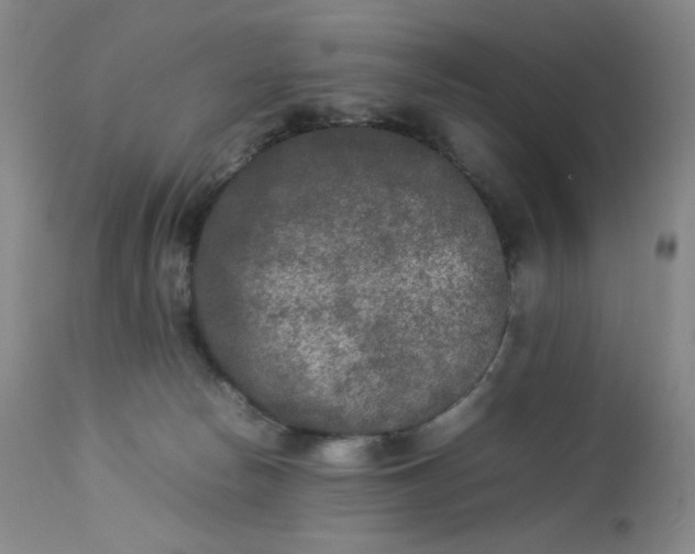 X0000112850178200909041538