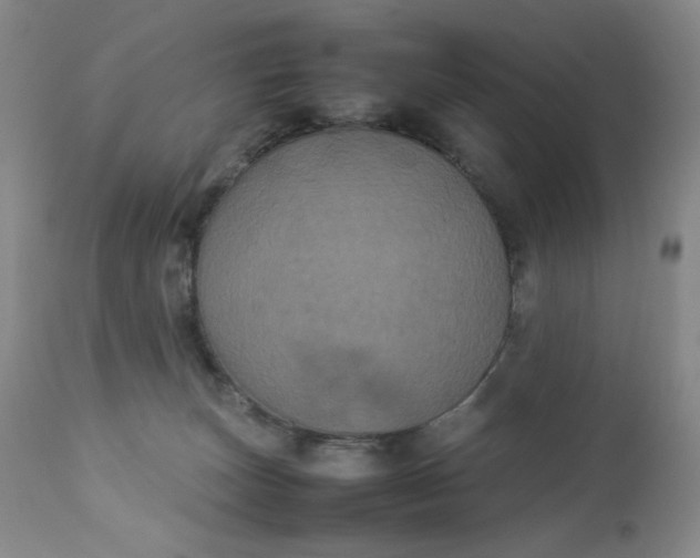 X0000112850179200909041538