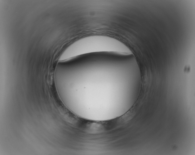 X0000112850180200909041538