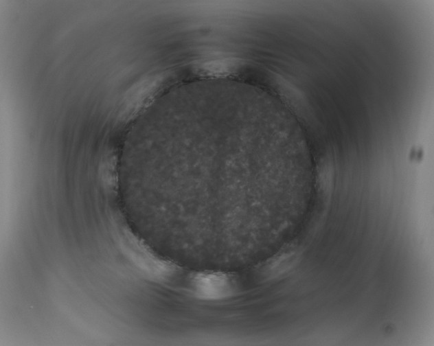 X0000112850181200909041538