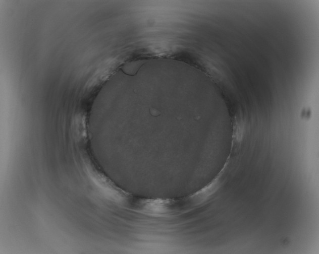 X0000112850182200909041538