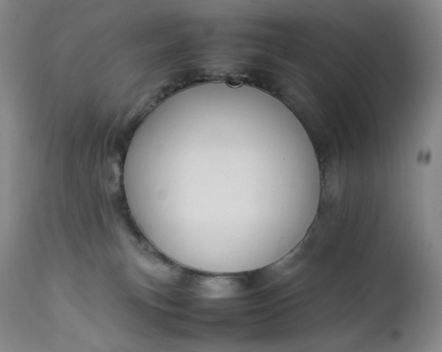 X0000112850183200909041538